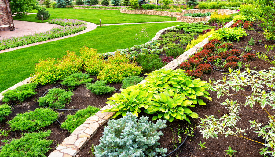 Landscaping panorama of home garden