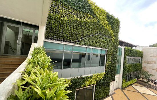 Greenwall - LDC Courtyard