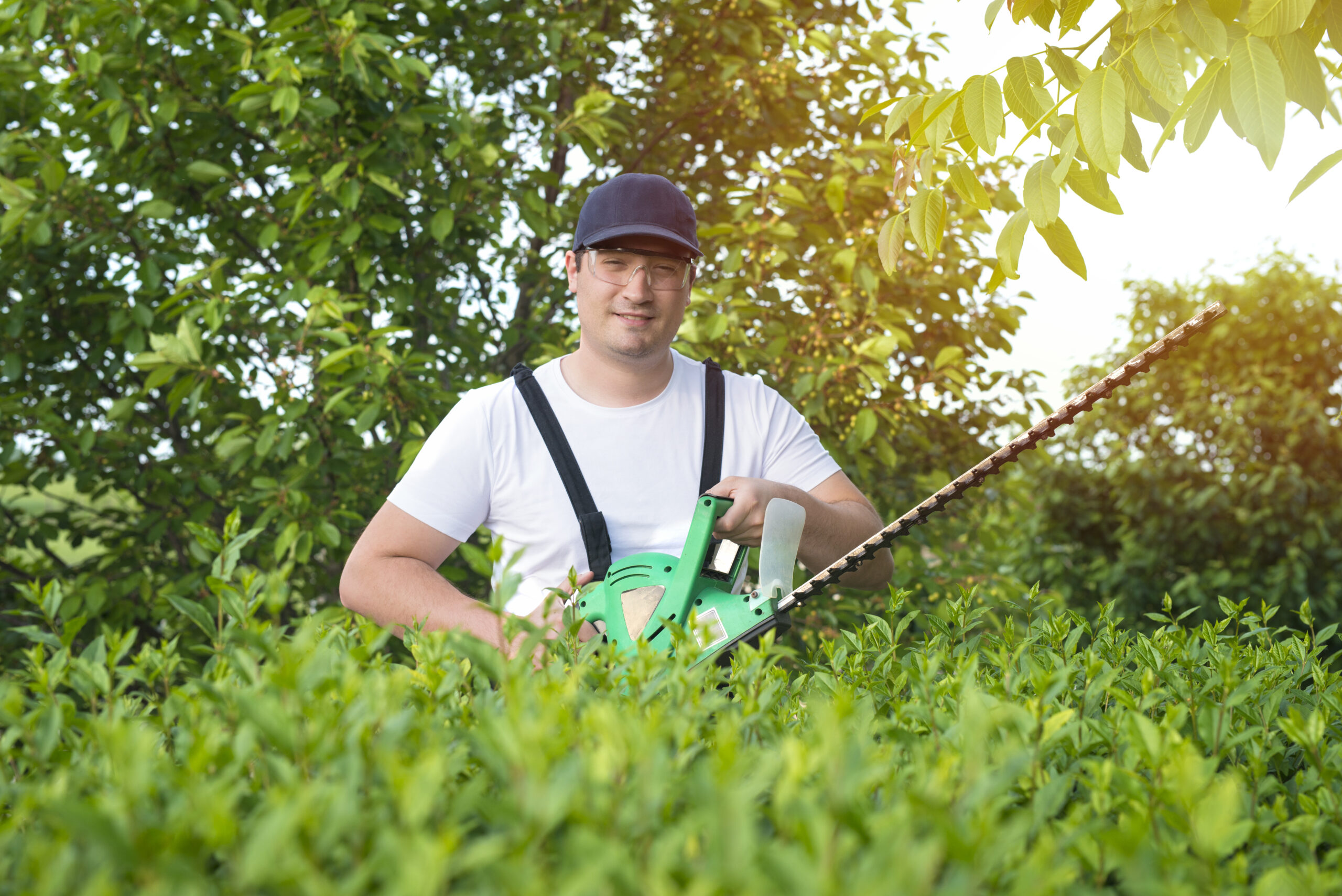 Portrait of professional gardener holding trimmer working in the yard.