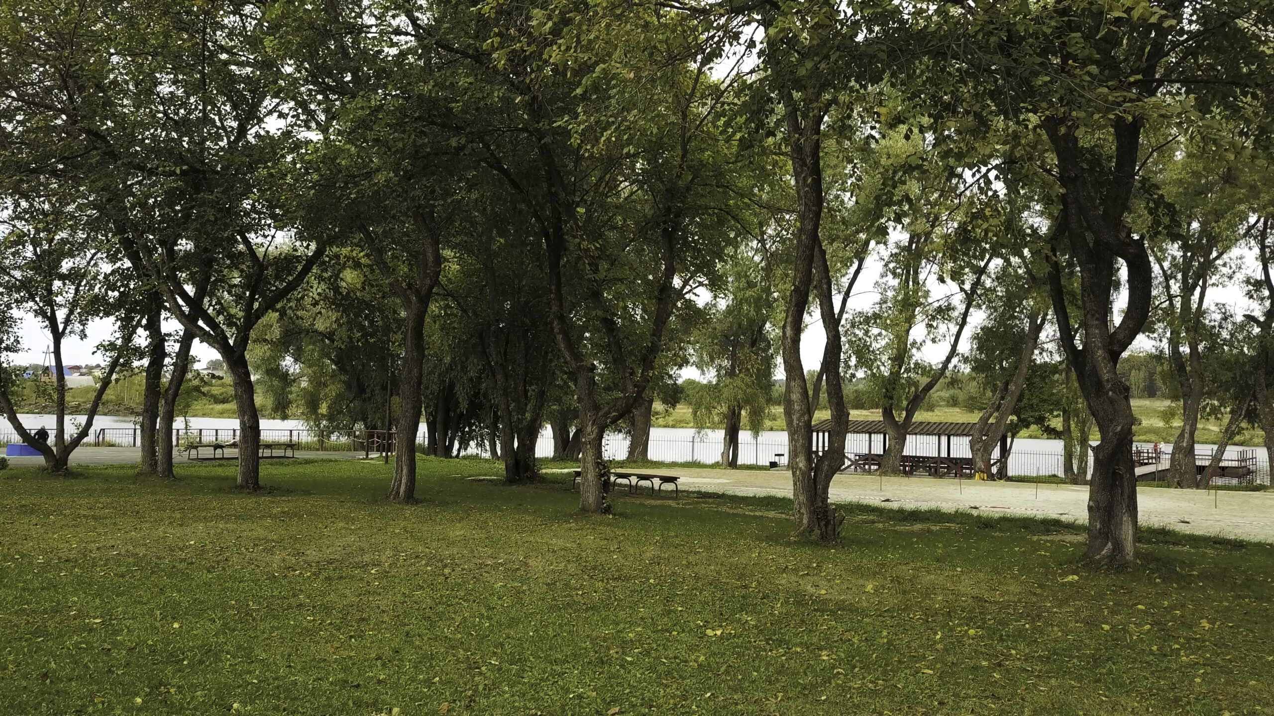 Spring at the park near the river in the city. Green alley with a growing trees, green meadow, and benches in the summer time.